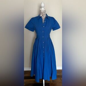 Elegant Blue Button-Up Dress